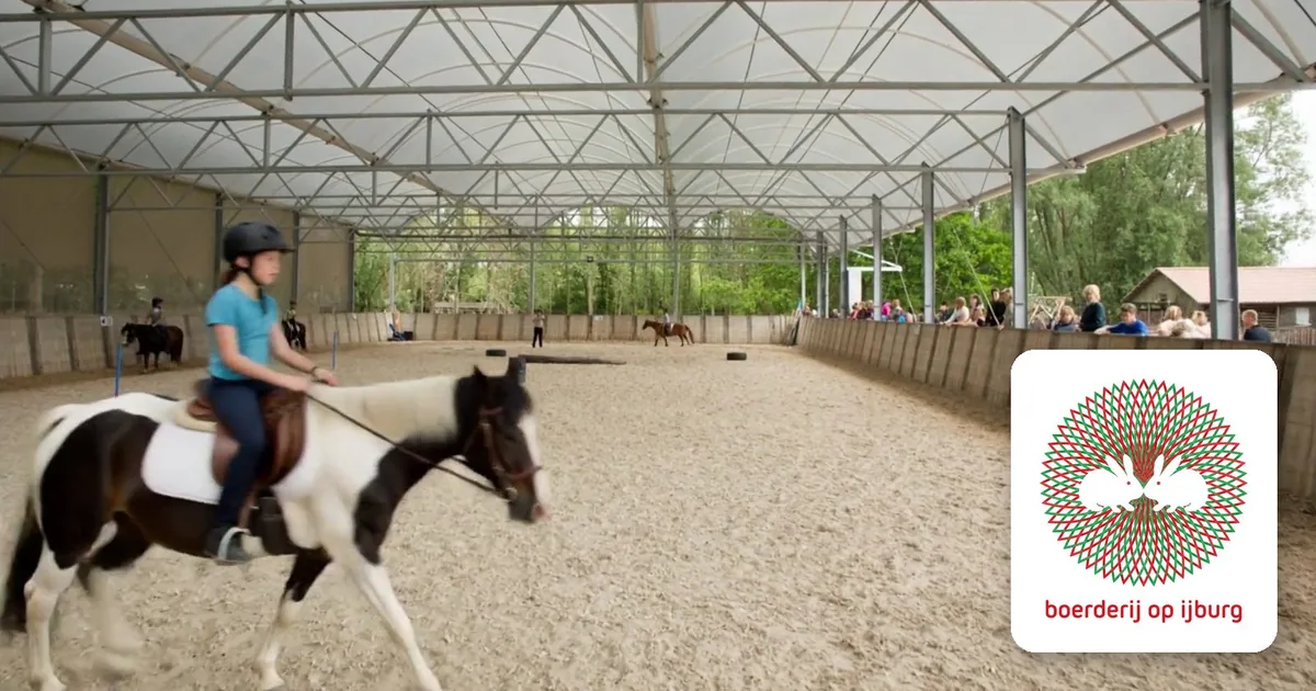 Merkbeeld van Boerderij op IJburg: rijles in de overdekte bak